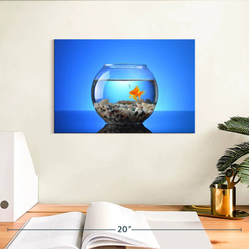 Poisson rouge pour animaux de compagnie, H 8 po x l 12 po