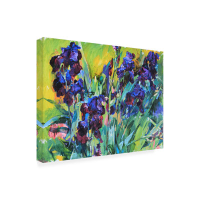Bolog Andrii Kutsachenko Irises Canvas Art