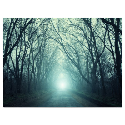 " Fall Forest Path With Green Light "