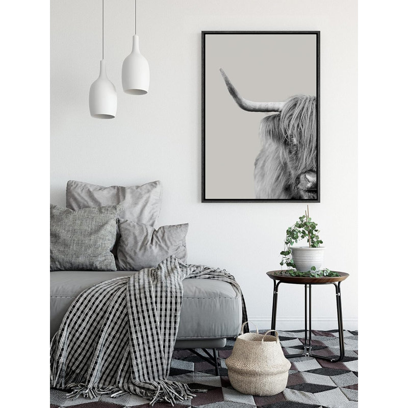 Moitié de vache Shetland, œuvre d'art, photographie, campagne, portrait, détente, calme, H 24 po x l 16 po x P 1,5 po, Noir