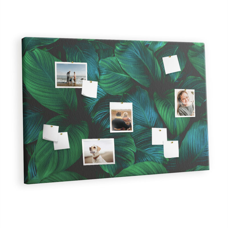Biancia Cork Corkboard / Bulletin Board