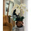 Orchid Floral Arrangement in Planter