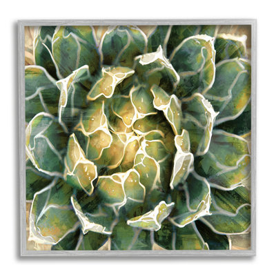«Leafy Succulent Plant Nature» encadré sur bois par Lindsay Benson, peinture