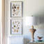 Seashell Collection Prints