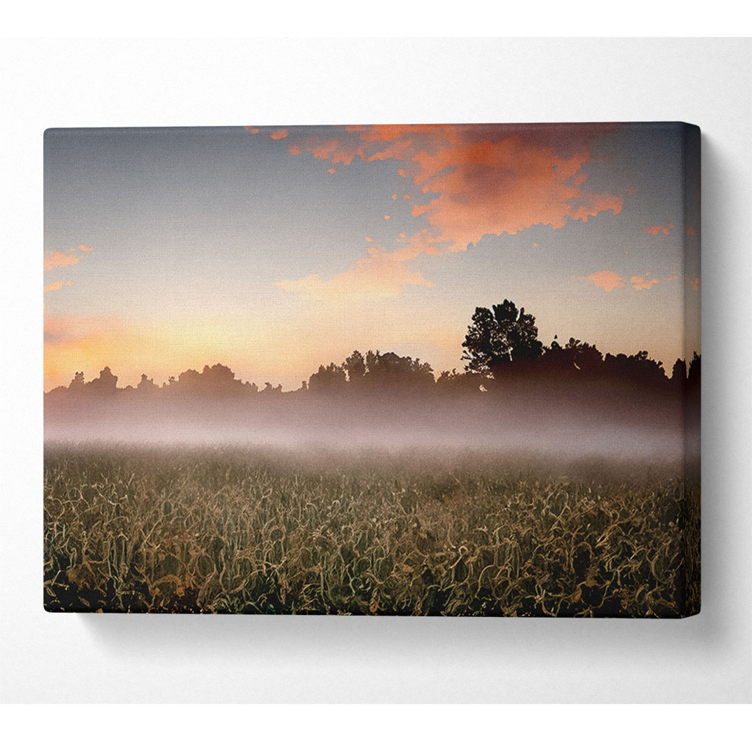 Early Morning Fog - Kunstdrucke auf Leinwand - Wrapped Canvas