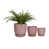 Pink est en rupture de stock