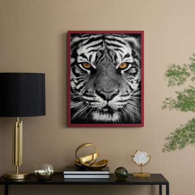 Golden Eyes Framed Print - Solid Wood