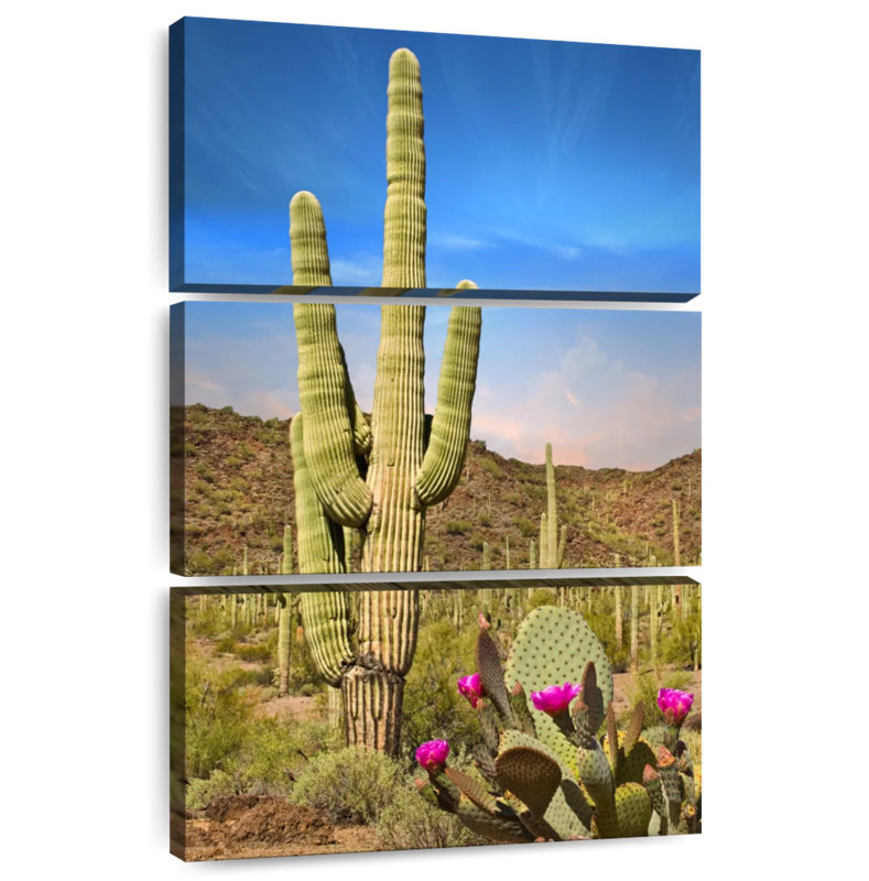 Harnek Saguaro et figuier de Barbarie cactus, H 32 po x l 20 po