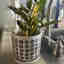 Customer photo 2 of 2