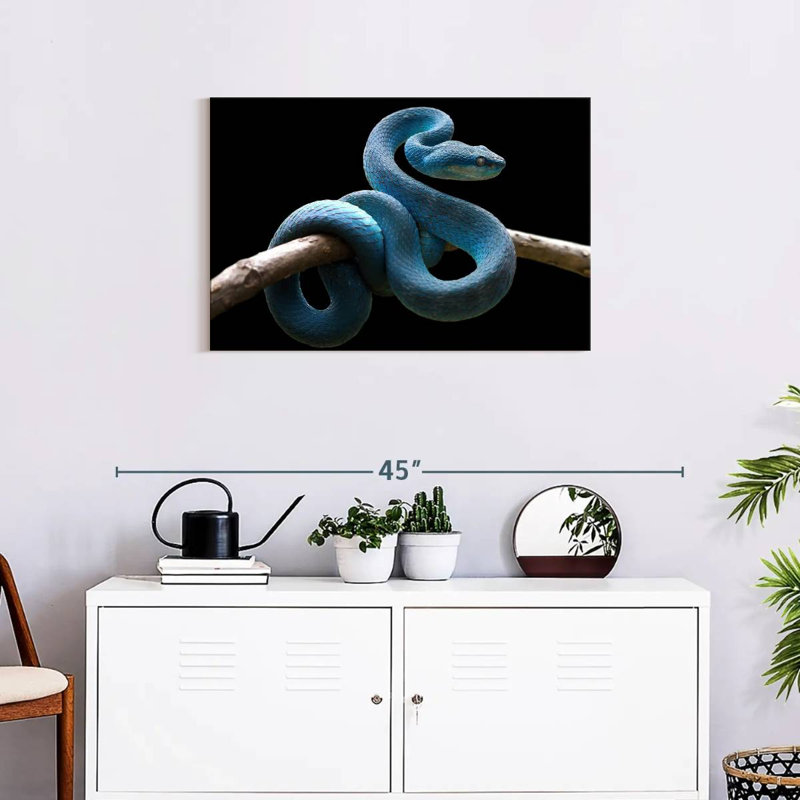 Brampt Blue Viper Snake, 20" H x 30" W