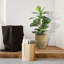 30'' Faux Fiddle Leaf Fig Tree in Wicker/Rattan Basket