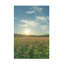Art Masahiro Yano Its Like A Dream-93233161