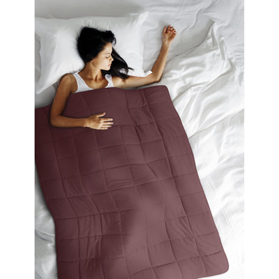 Weighted Throw Blanket