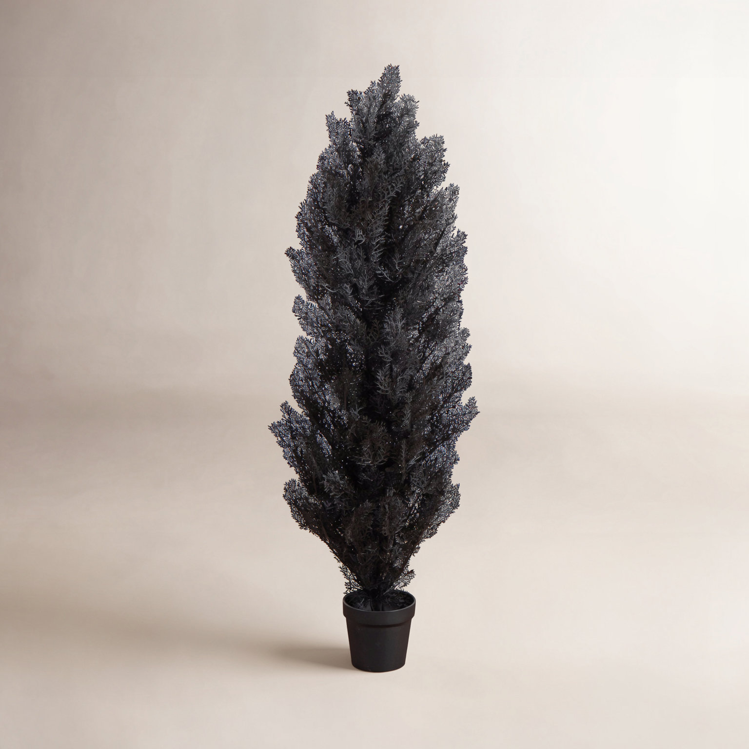 72" Cedar Tree in Nursery Pot, 48" H x 12" W x 12" D