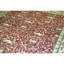 Hand Knotted Wool Area Rug in Rust And Ivory