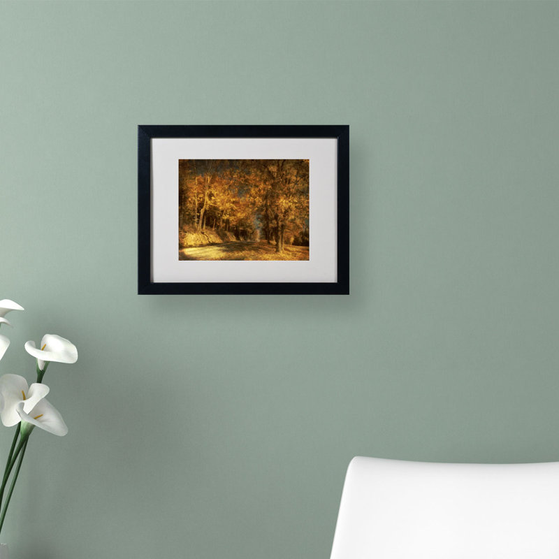 « back routes » par lois bryan, reproduction de photo encadrée, Noir, H 16 po x l 20 po x P 0,5 po