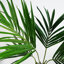 Faux Palm Plant in Pot Liner-88980144
