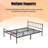Queen Size Bed Frame-1823893261