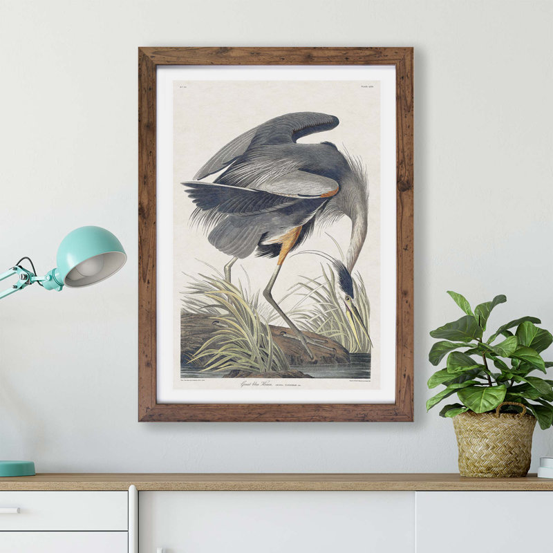 Great Blue Heron by John Audubon - Single Picture Frame Painting, Walnut, 45cm H x 63cm W x 2cm D