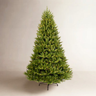 Frosted Pre-Lit Fir Christmas Tree