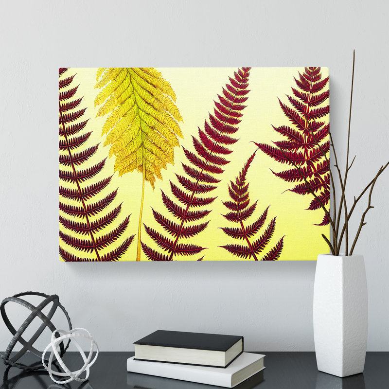 Fern Leaves - Wrapped Canvas, 50cm H x 76cm W x 3cm D