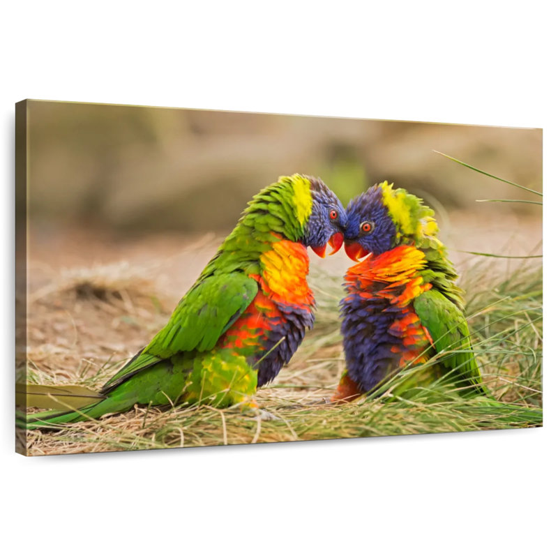 Rainbow Lorikeet Mates, 16" H x 24" W