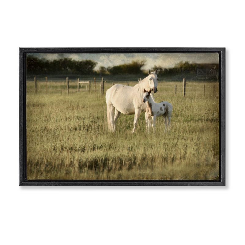 Toile et cheval de campagne par Rhonda Addison, Cadre flottant noir de jais, H 17 po x l 25 po