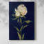 JOLIE COMME PEONY II - Cavas enveloppés de galerie-108827922