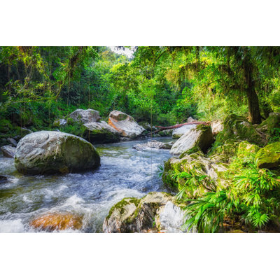 Rainforest River - Wrapped Canvas Print