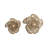 Artistic Open Petal Flower Wall Art for Home or Kitchen Decor - Decorative Modern Metal Wall Hanging Sculpture Decorations - Set of 2, 18", Gold