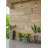 9'' Succulent Plant in Stone Planter