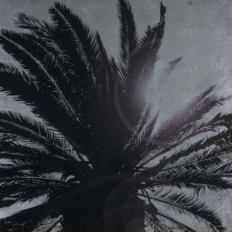 Silver Leaf Palm Tree B Print