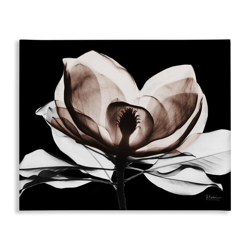 Art moderne sur toile Modern Mocha Magnolia, design par Albert Koetsier, H 24 po x l 30 po