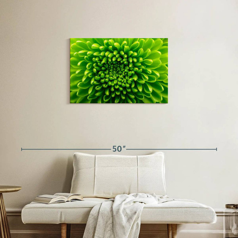 Chrysanthème vert, H 20 po x l 30 po