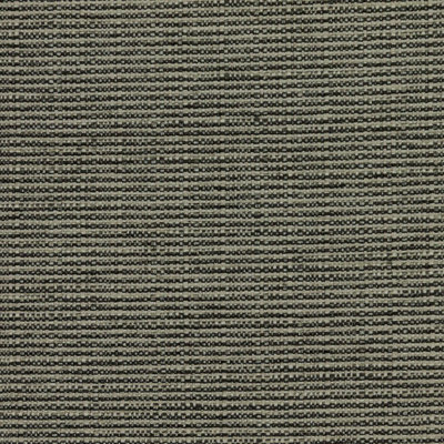 Bronco Fabric