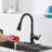 FURUISI Pull Down Kitchen Faucet-100865083