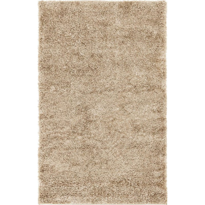 Indoor Rug