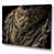 Toile tendue