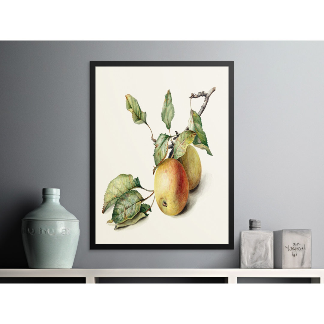 No Frame Print