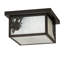 Darieon 2 - Light Flush Mount