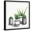 Stripey Pots by Parvez Taj - 1 Piece Single Picture Frame Painting-622077054