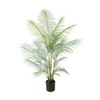 Outdoor UV Rated Kentia Palm Drop-In