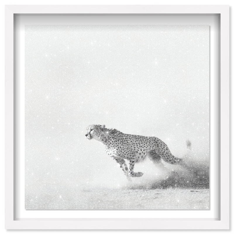 Cheetah Run Print by Oliver Gal, 17.5" H x 17.5" W, White Shadowbox