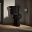 Highline Comfort Round-Front Chair Toilet Bowl-1153931776