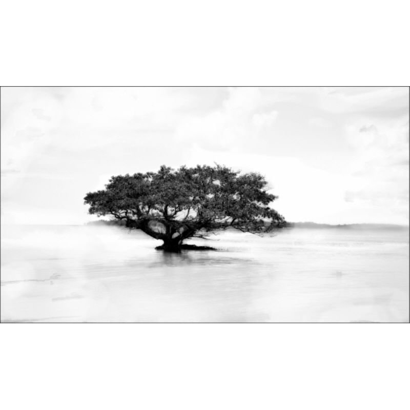Border Print by Mitchell Bloch, Knife Gel, 30" H x 50" W