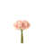 Light Pink is out of stock selected