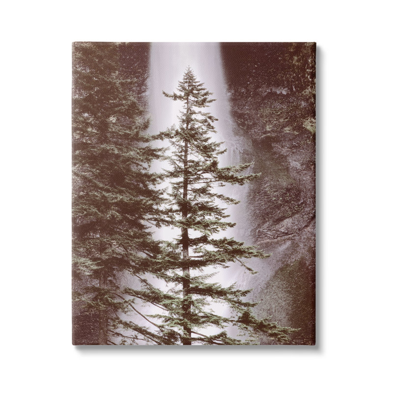 Art mural sur toile Stupell Industries Waterfall par Dennis Frates, H 40 po x l 30 po x P 1,5 po
