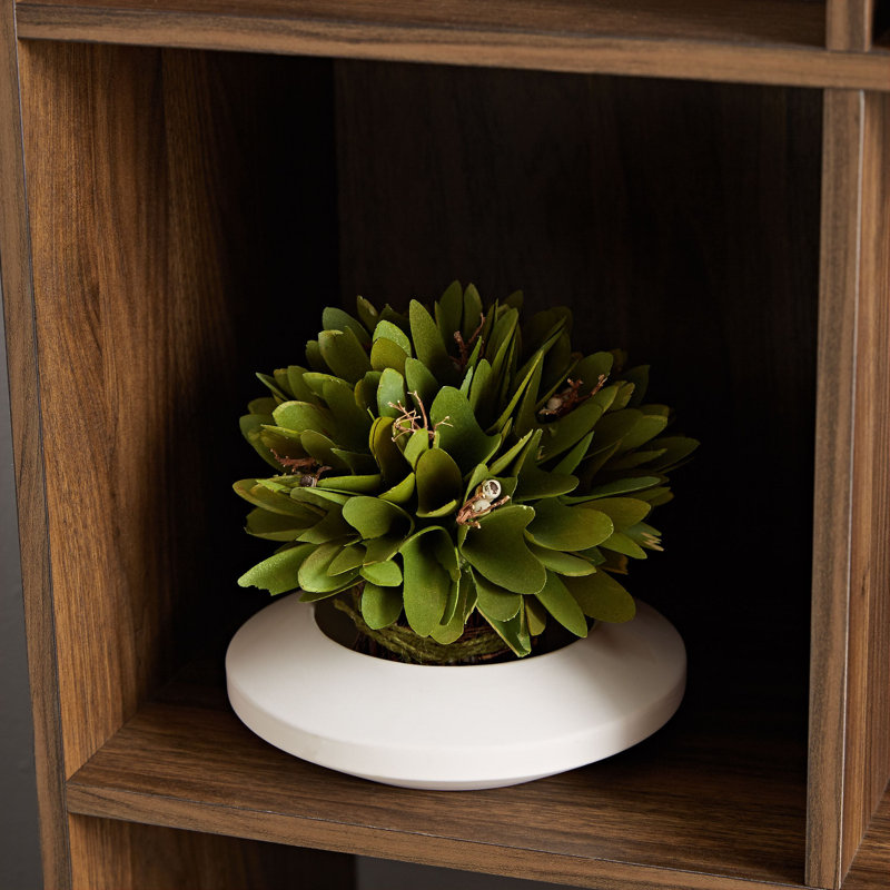 Gulsum 6-Cube Vertical Bookcase, Canyon Walnut
