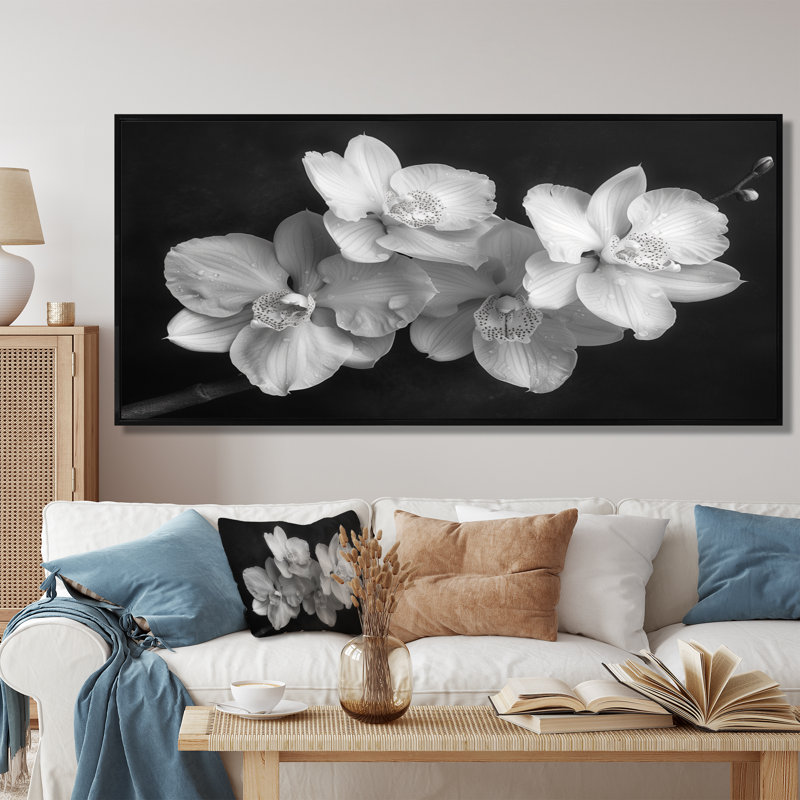 Art botanique noir et orchidées photo II - Orchidées murales, Cadre flottant noir, H 28 po x l 60 po