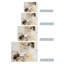 Remaining Neutral Print by Patricia Schwimmer-1096765906-1096765909